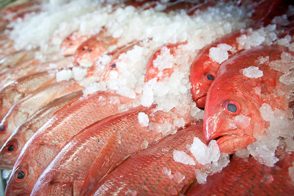 How To Find The Best Fresh Seafood